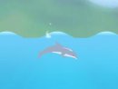 Play free game online: Dolphin Cup
