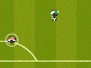 Play free game online: Goal South Africa