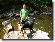 Bernese mountain dog \\\\\\\\\\\\\\\\\\\\\\\\\\\\\\\\\\\\\\\\\\\\\\\\\\\\\\\\\\\\\\\\\\\\\\\\\\\\\\\\\\\\\\\\\\\\\\\\\\\\\\\\\\\\\\\\\\\\\\\\\\\\\\\\\\\\\\\\\\\\\\\\\\\\\\\\\\\\\\\\\\\\\\\\\\\\\\\\\\\\\\\\\\\\\\\\\\\\\\\\\\\\\\\\\\\\\\\\\\\\\\\\\\\\\\\\\\\\\\\\\\\\\\\\\\\\\\\\\\\\\\\\\\\\\\\\\\\\\\\\\\\\\\\\\\\\\\\\\\\\\\\\\\\\\\\\\\\\\\\\\\\\\\\\\\\\\\\\\\\\\(Dog standard\\\\\\\\\\\\\\\\\\\\\\\\\\\\\\\\\\\\\\\\\\\\\\\\\\\\\\\\\\\\\\\\\\\\\\\\\\\\\\\\\\\\\\\\\\\\\\\\\\\\\\\\\\\\\\\\\\\\\\\\\\\\\\\\\\\\\\\\\\\\\\\\\\\\\\\\\\\\\\\\\\\\\\\\\\\\\\\\\\\\\\\\\\\\\\\\\\\\\\\\\\\\\\\\\\\\\\\\\\\\\\\\\\\\\\\\\\\\\\\\\\\\\\\\\\\\\\\\\\\\\\\\\\\\\\\\\\\\\\\\\\\\\\\\\\\\\\\\\\\\\\\\\\\\\\\\\\\\\\\\\\\\\\\\\\\\\\\\\\\\\)