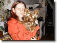 Jorkrsk terier, Yorkshire Terrier,