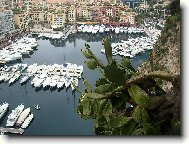 pstav v Monaku