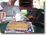 Dobermann \\\\\(Dog standard\\\\\)