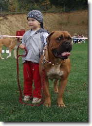 Dogue de Bordeaux \\\\\\\\\\\\\\\\\\\\\\\\\\\\\\\\\\\\\\\\\\\\\\\\\\\\\\\\\\\\\\\\\\\\\\\\\\\\\\\\\\\\\(Dog standard\\\\\\\\\\\\\\\\\\\\\\\\\\\\\\\\\\\\\\\\\\\\\\\\\\\\\\\\\\\\\\\\\\\\\\\\\\\\\\\\\\\\\)