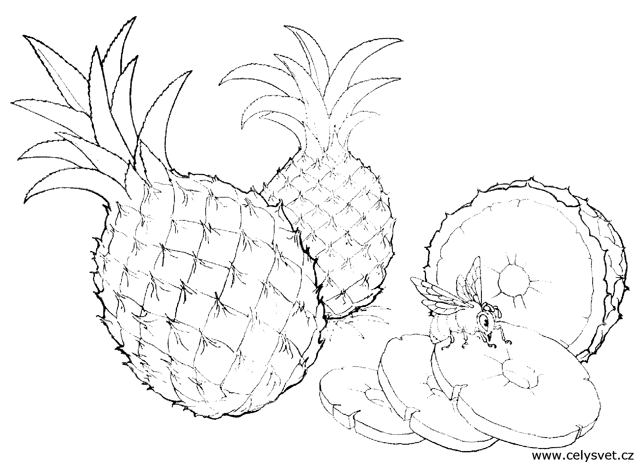 Free coloring page to print