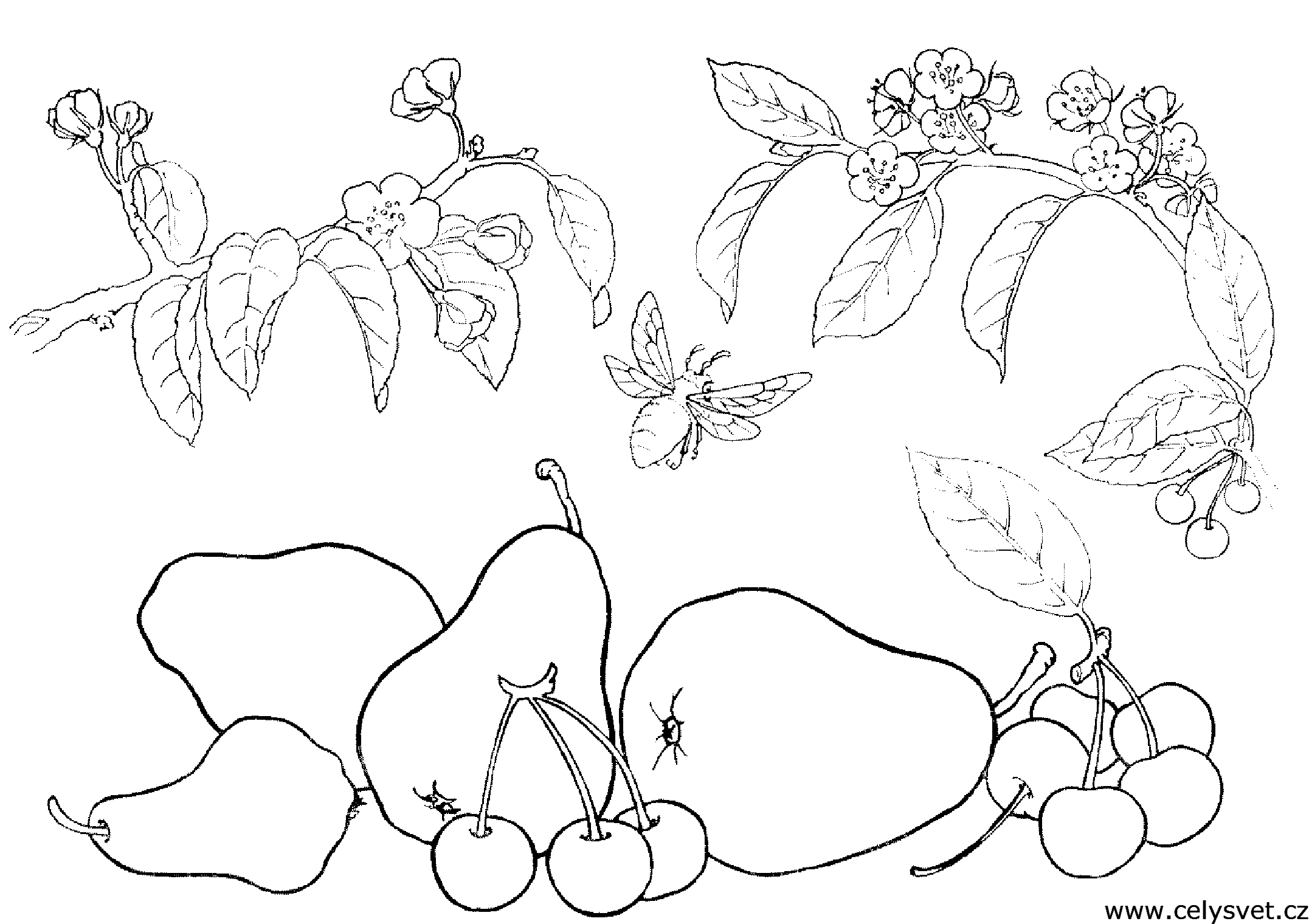 Free coloring page to print