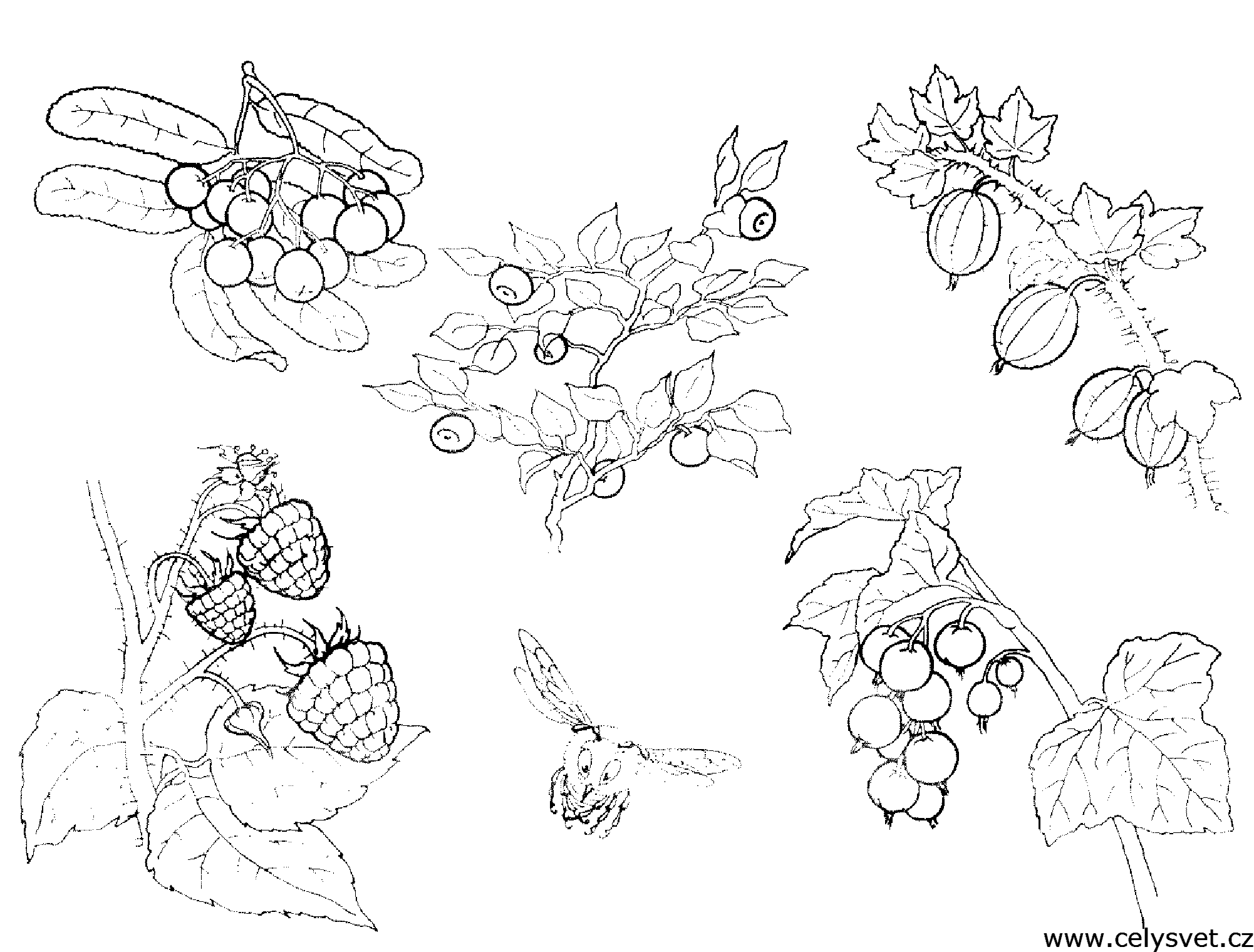 Free coloring page to print