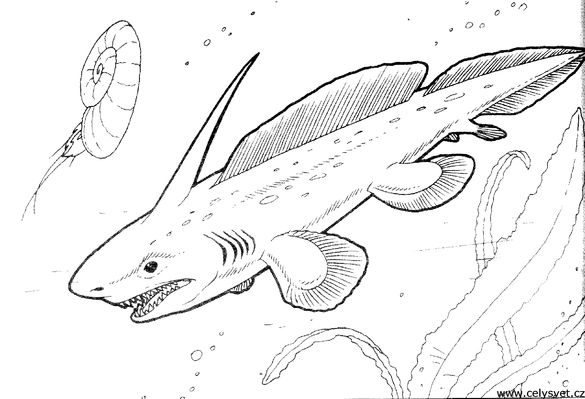 Free coloring page to print