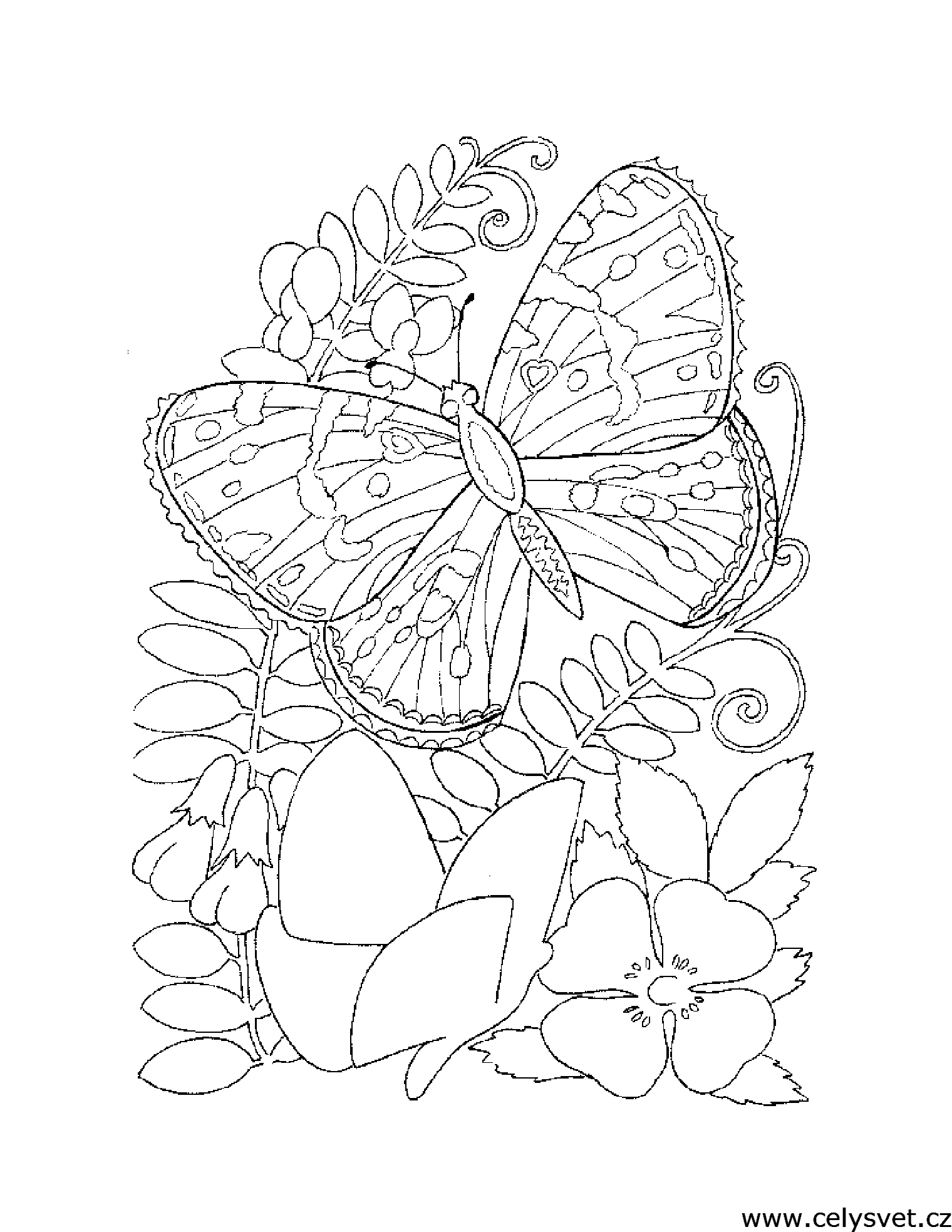 Free coloring page to print