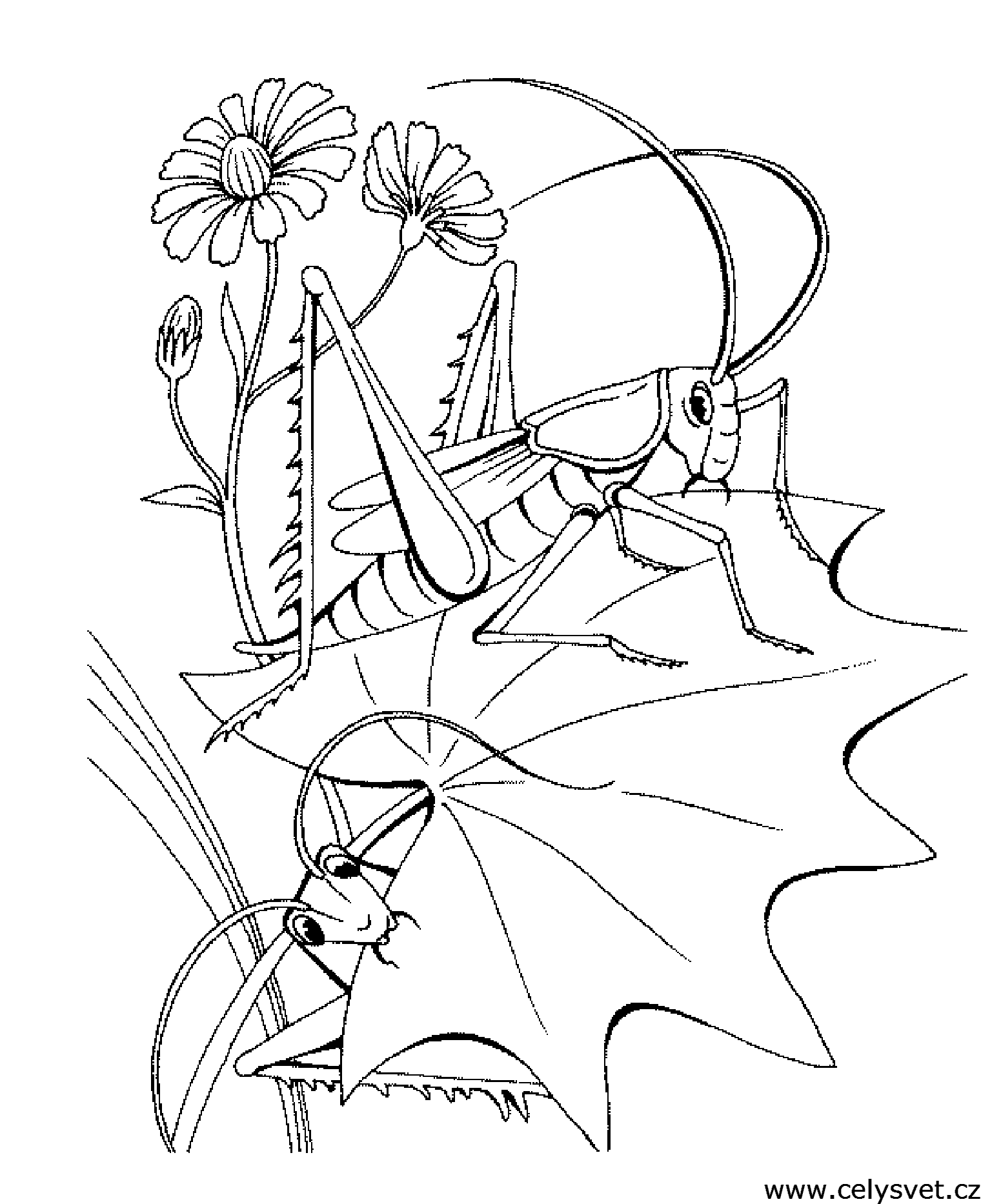 Free coloring page to print