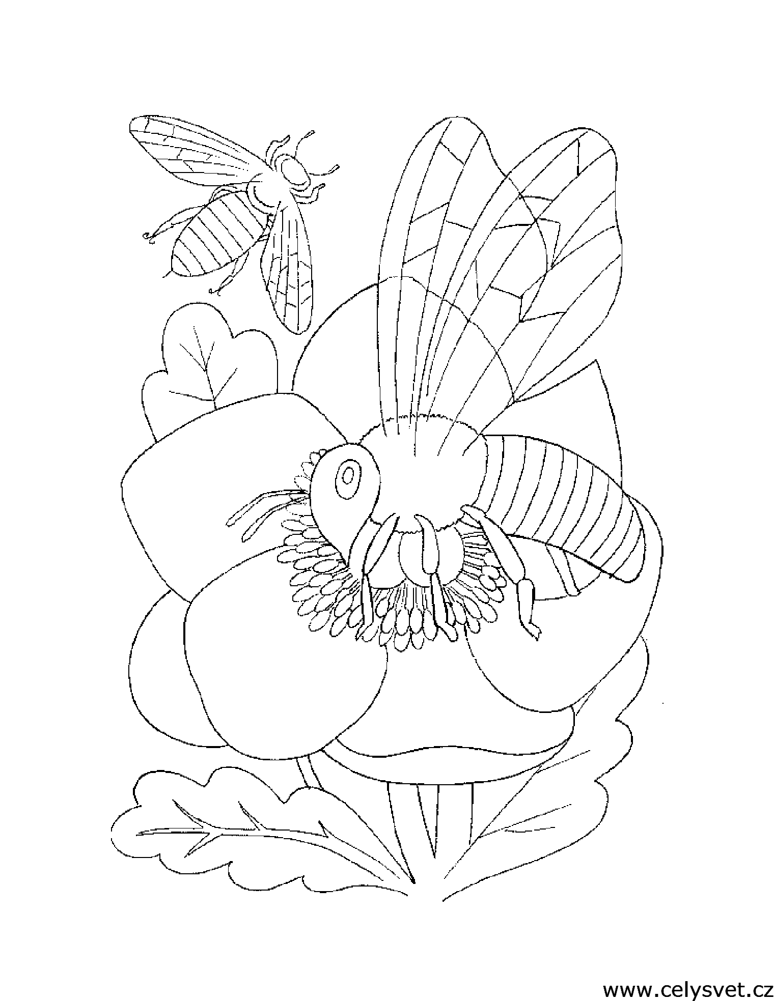 Free coloring page to print