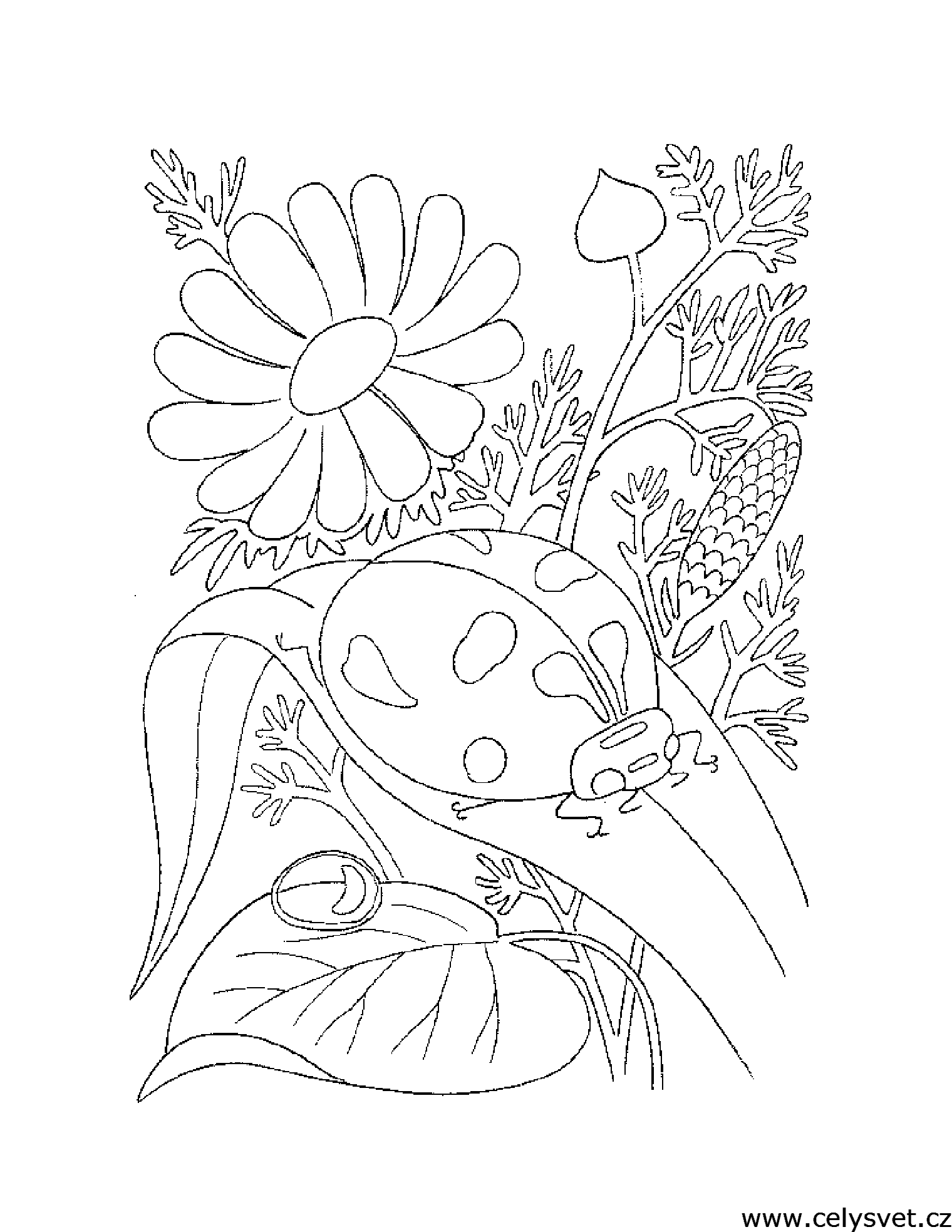 Free coloring page to print