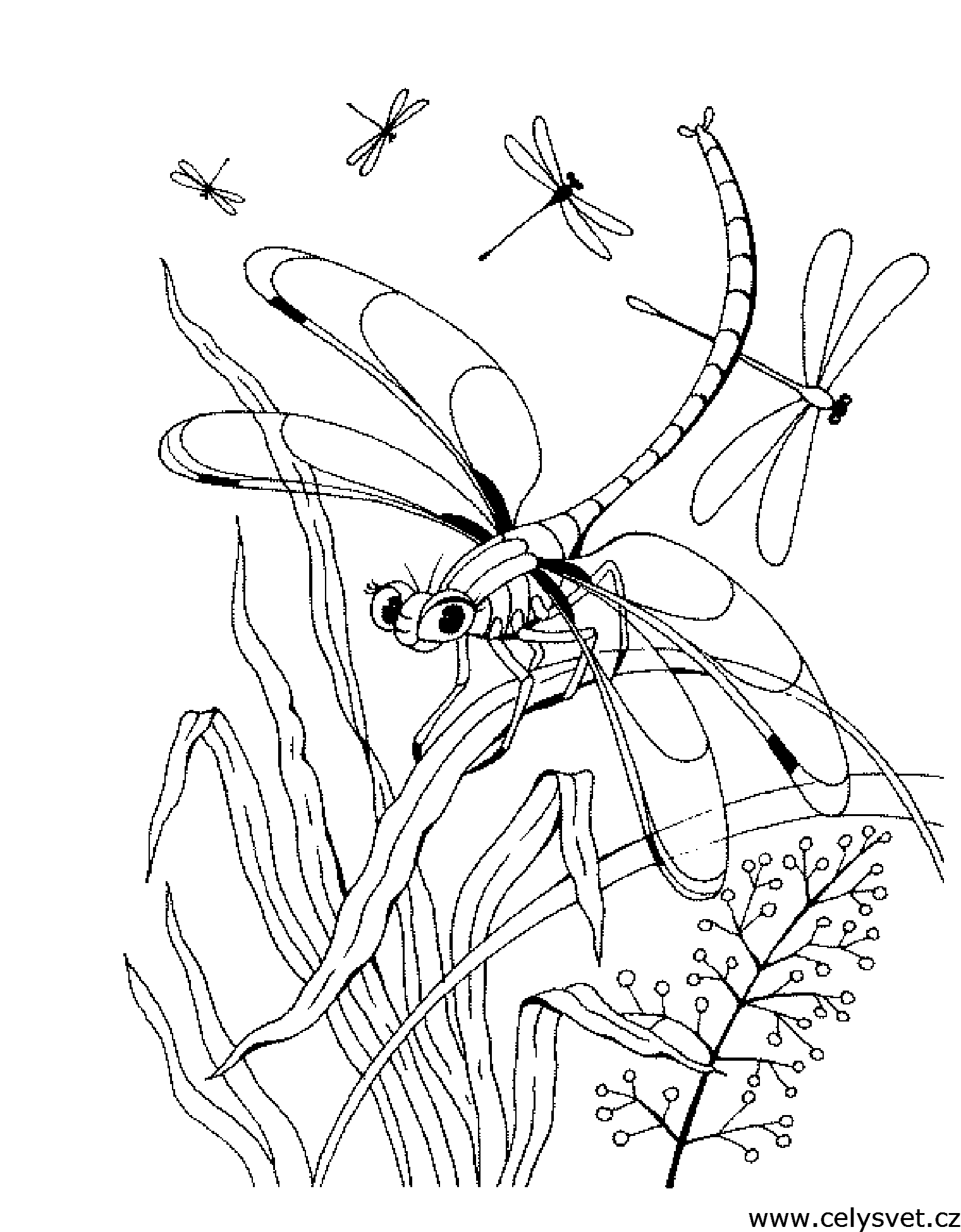 Free coloring page to print