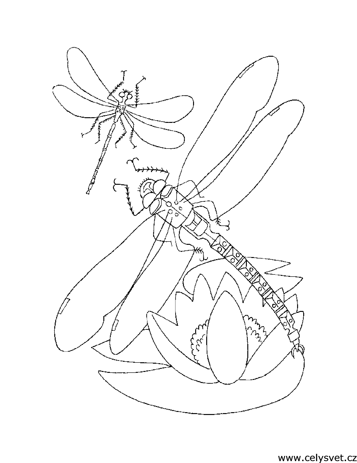 Free coloring page to print