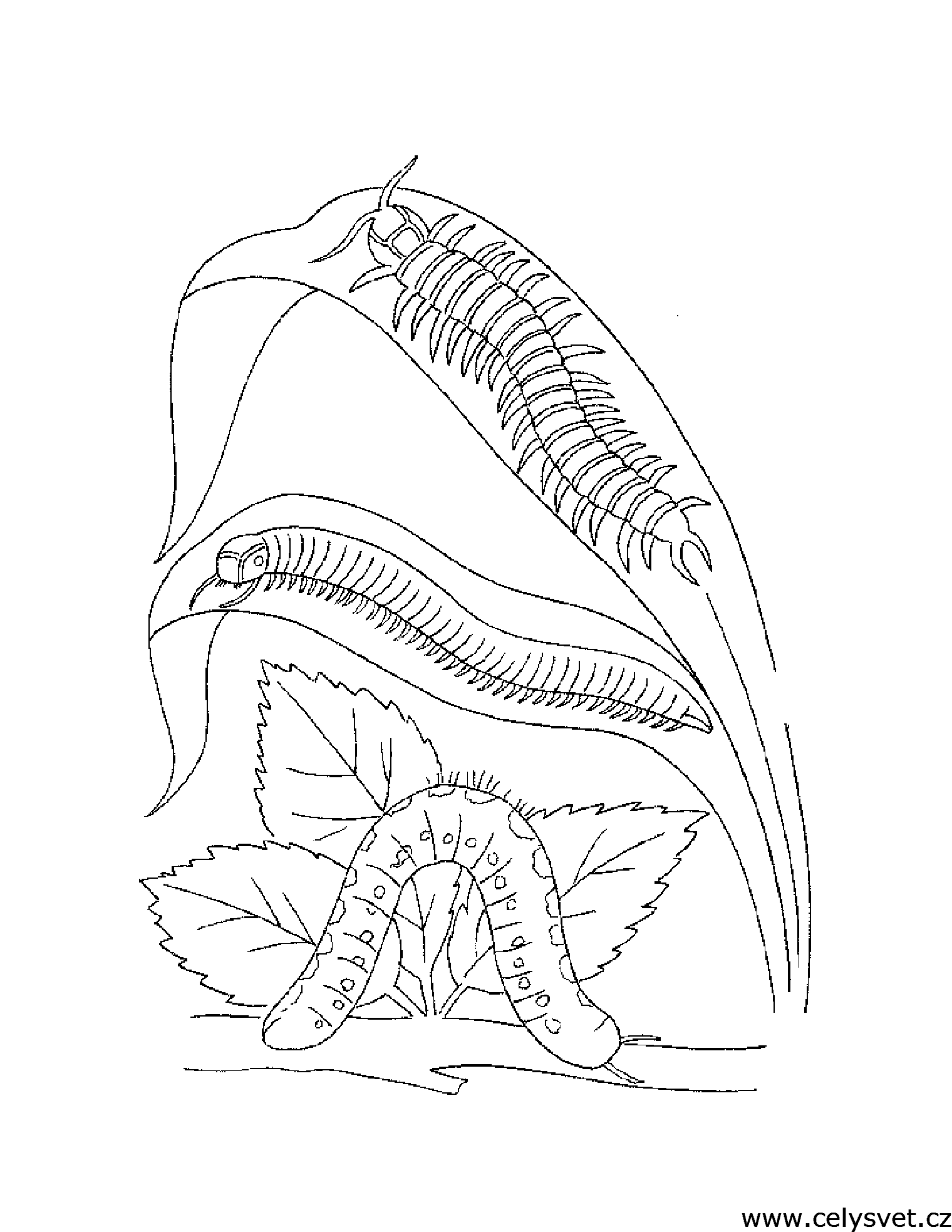 Free coloring page to print