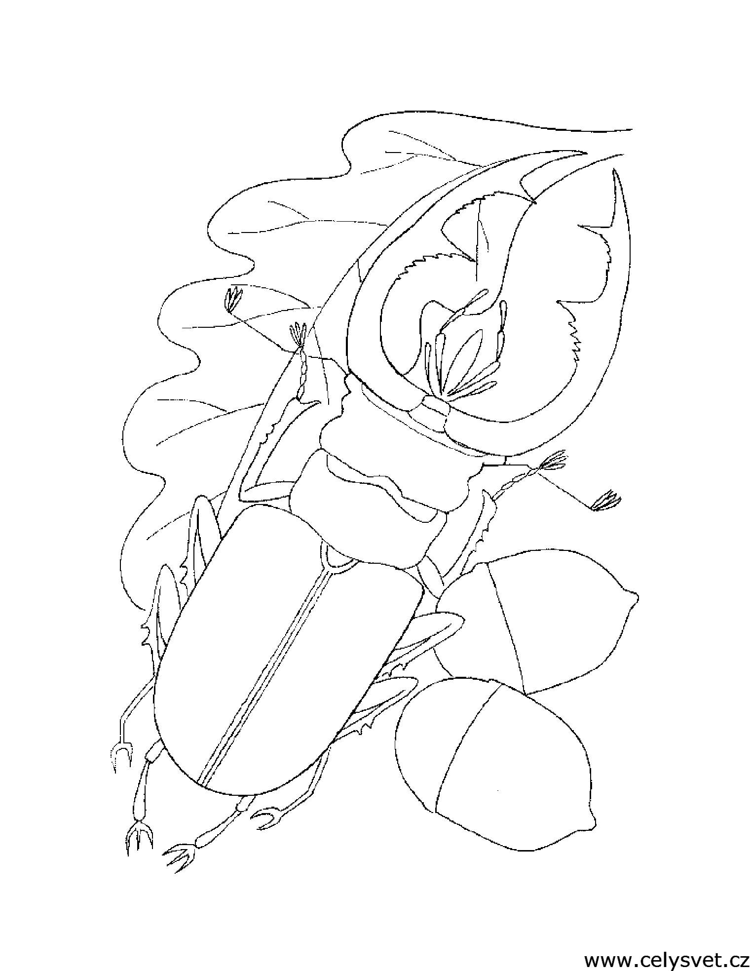 Free coloring page to print