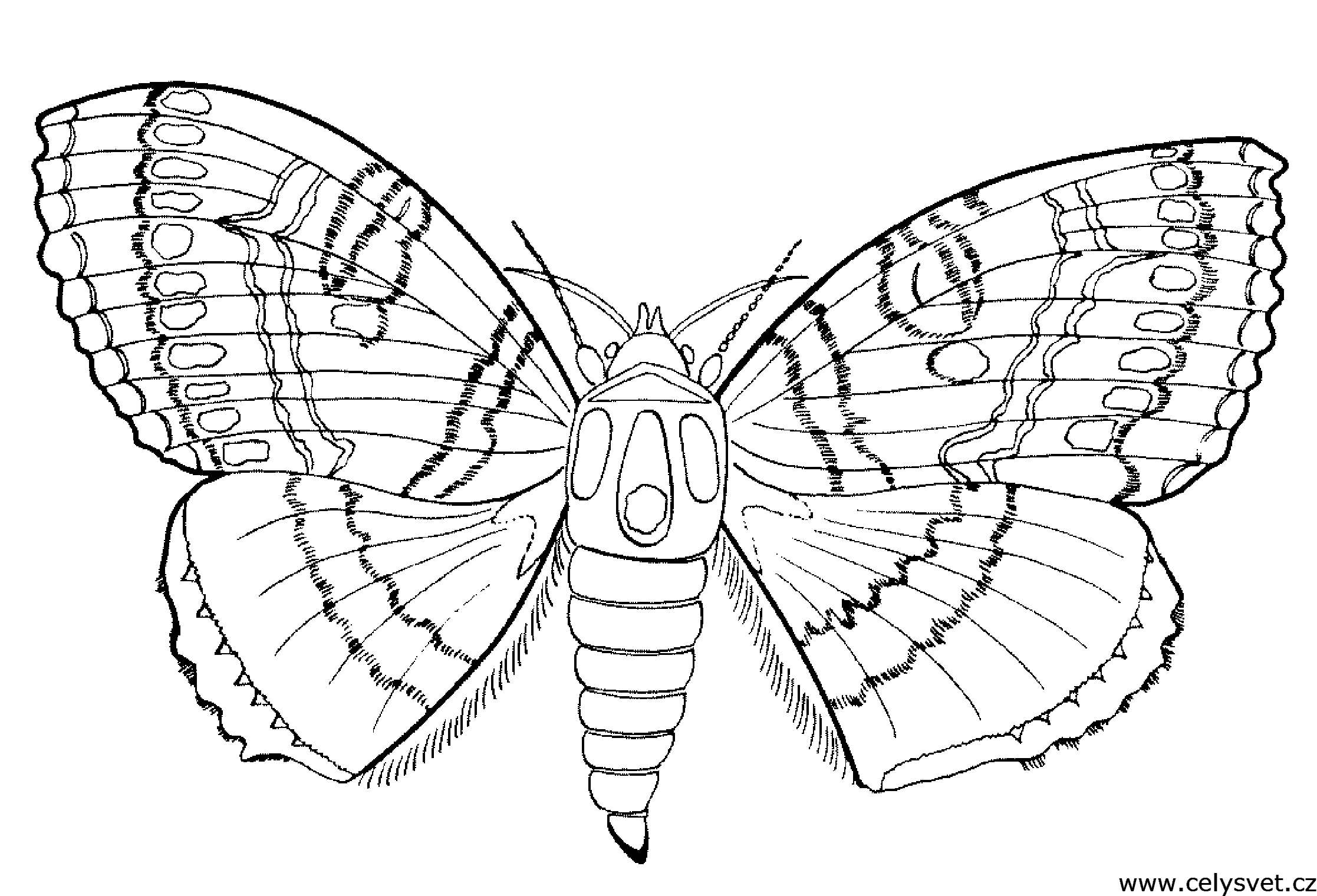 Free coloring page to print