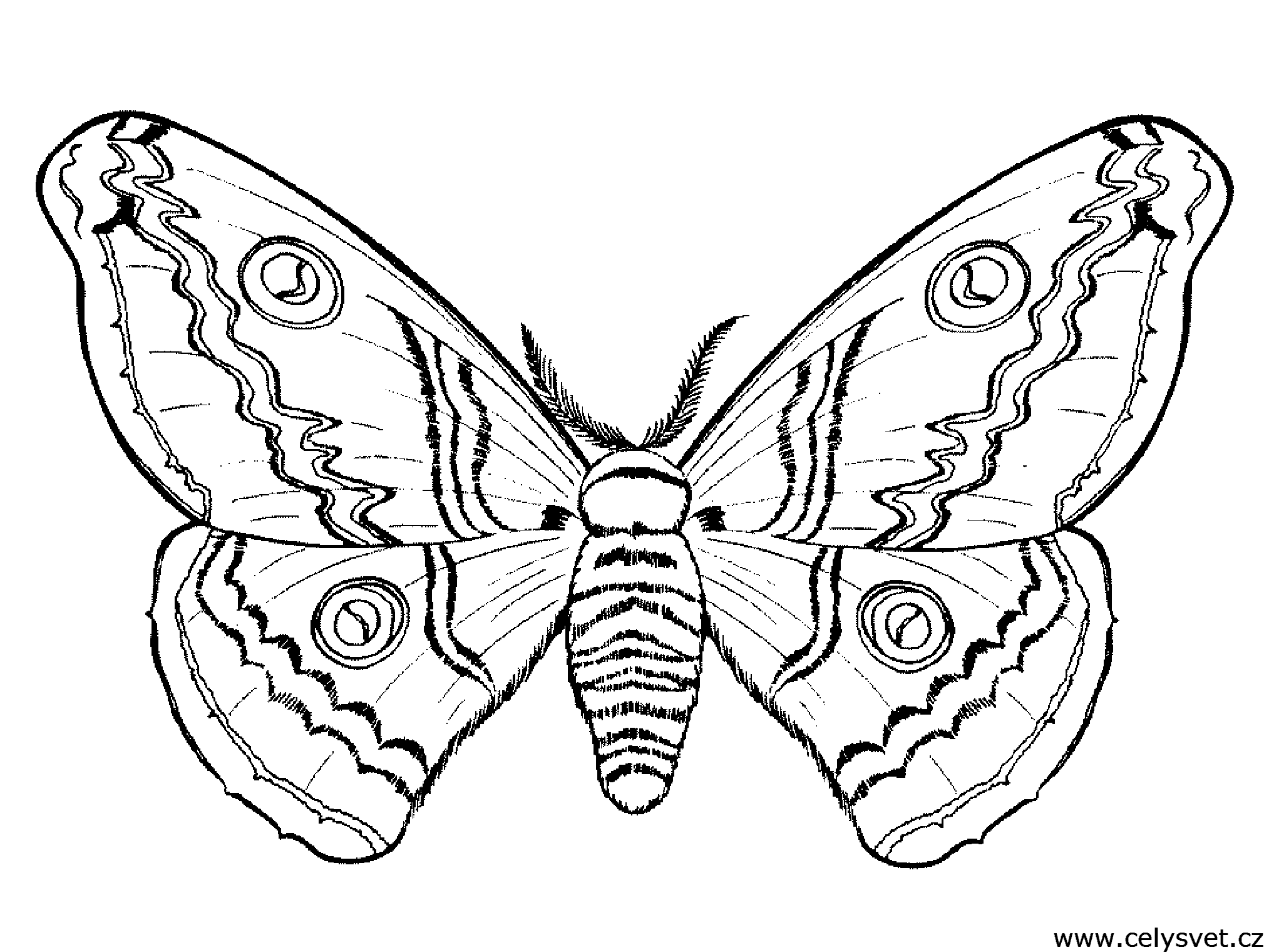 Free coloring page to print