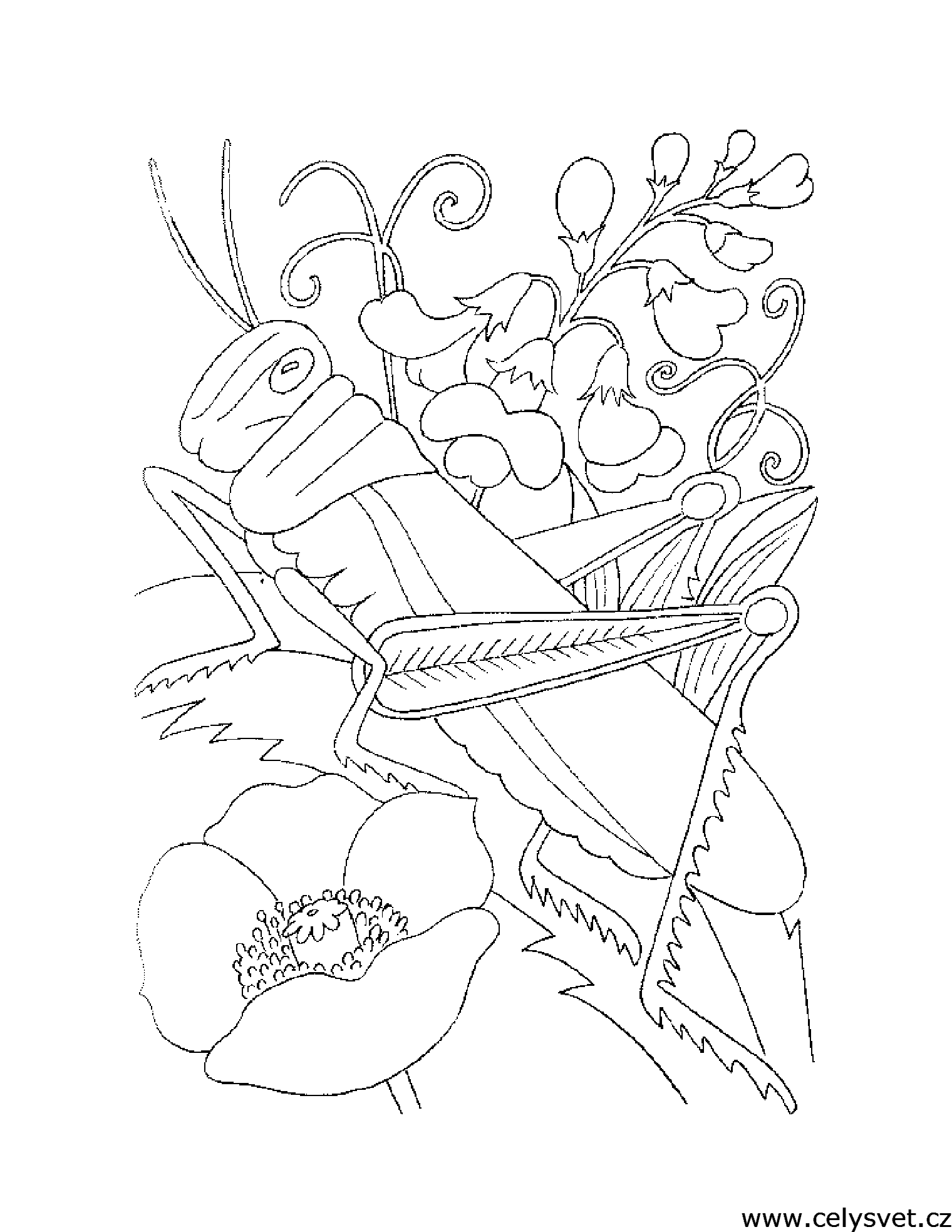 Free coloring page to print