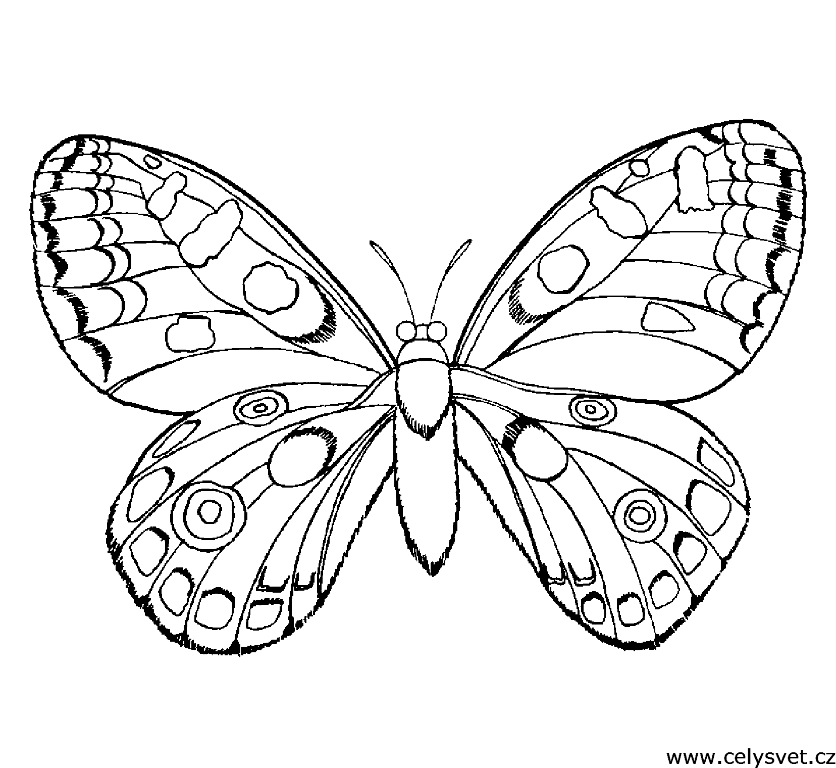 Free coloring page to print