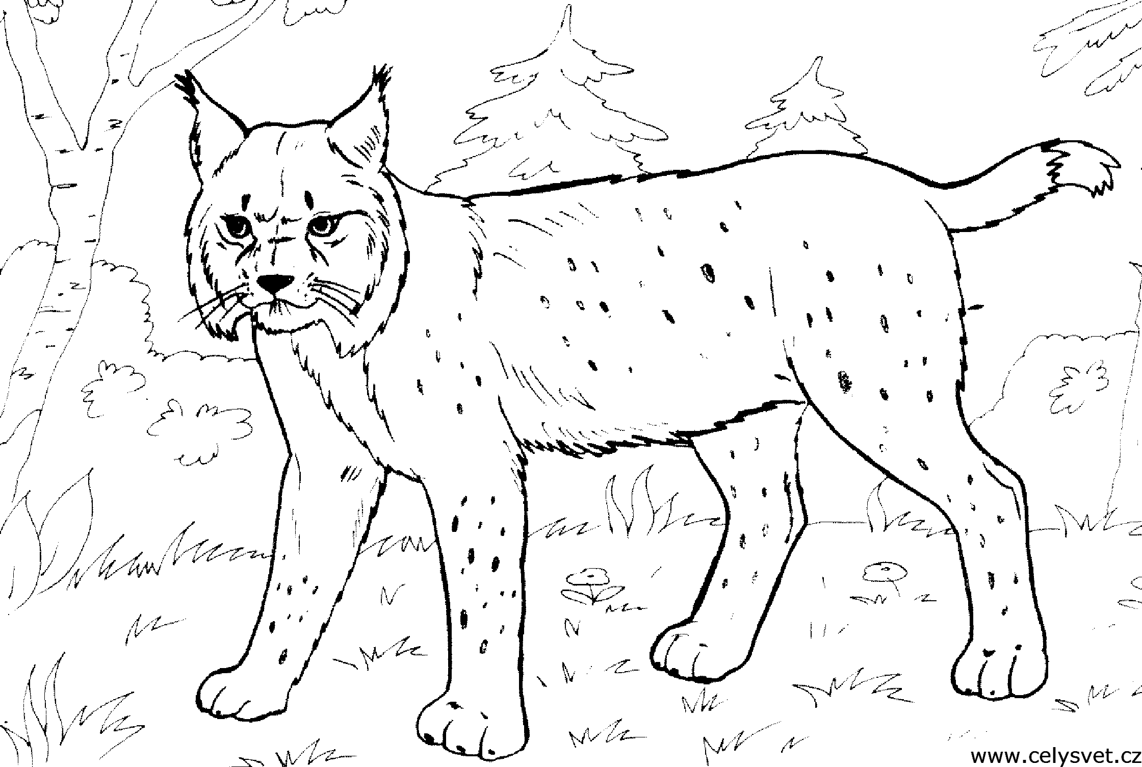 Free coloring page to print