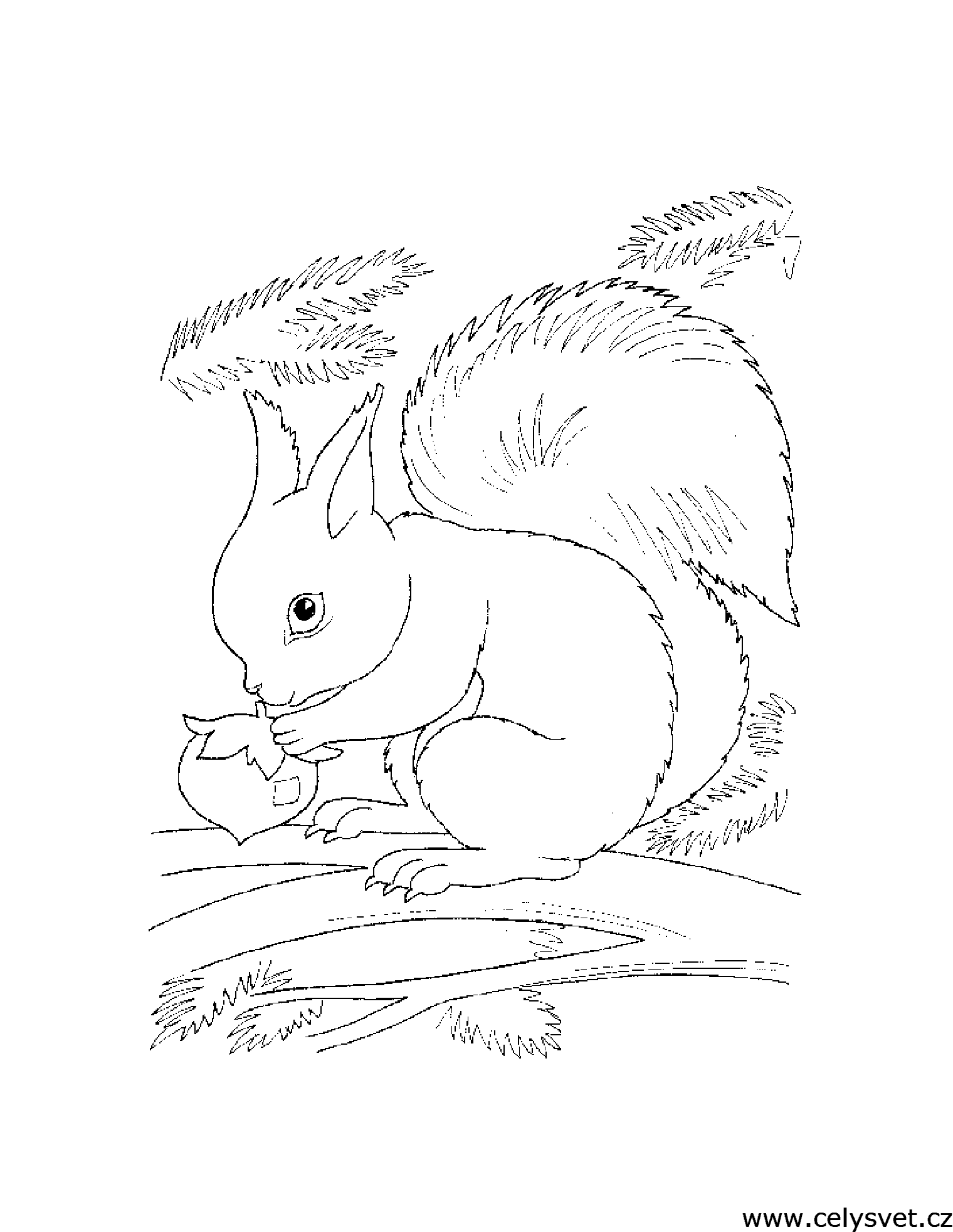 Free coloring page to print