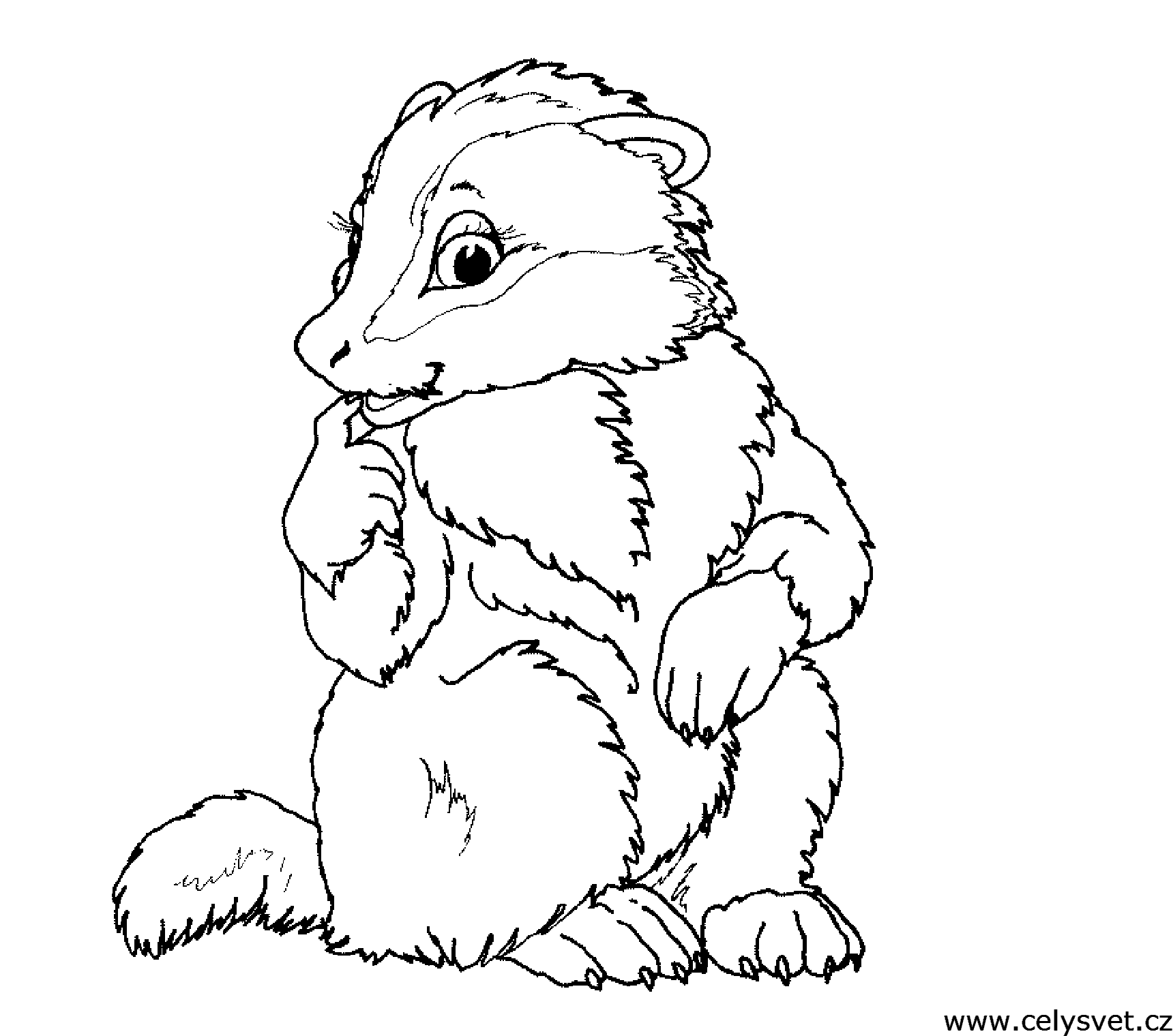 Free coloring page to print