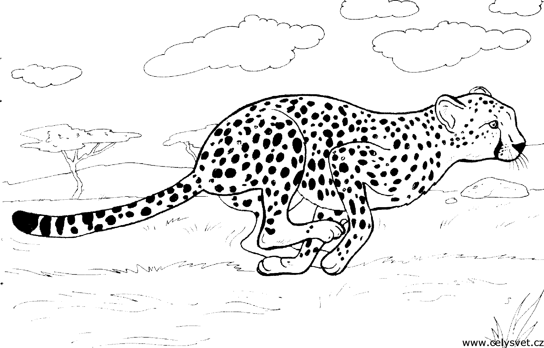 Free coloring page to print