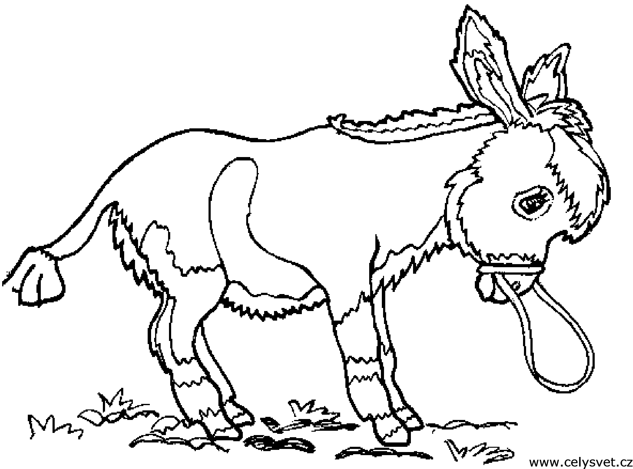 Free coloring page to print