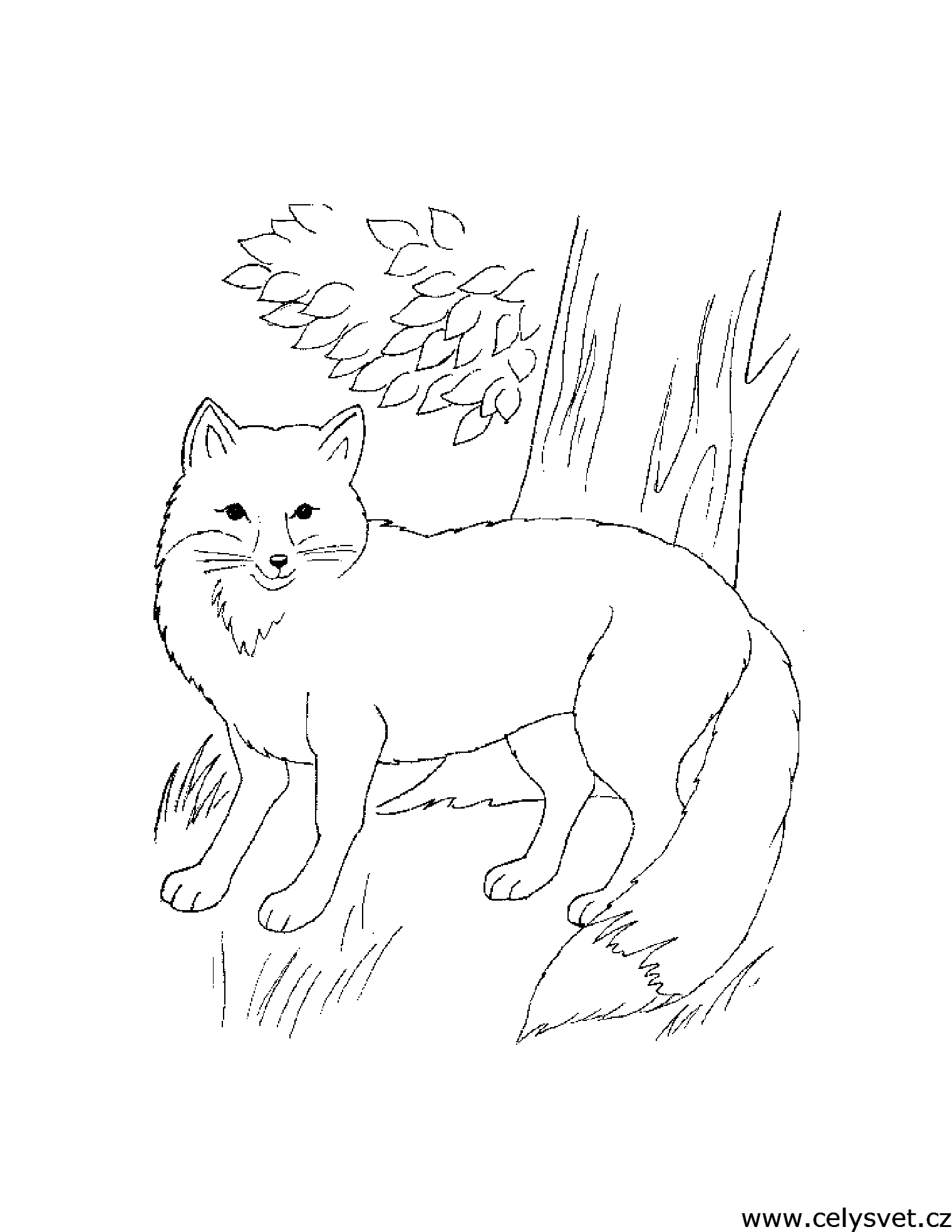 Free coloring page to print