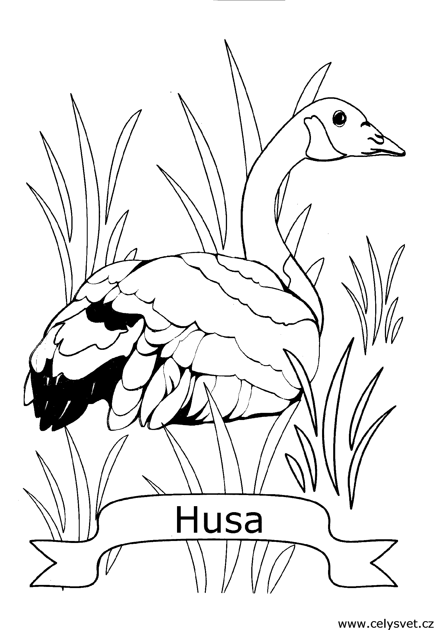 Free coloring page to print