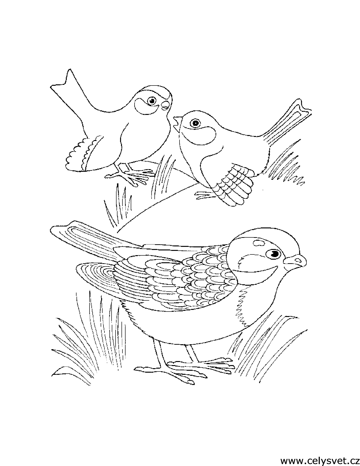 Free coloring page to print