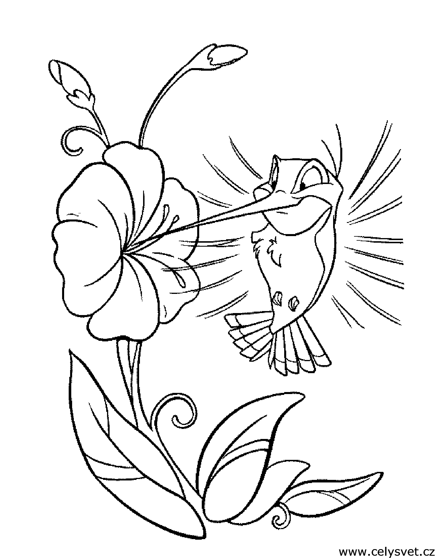 Free coloring page to print