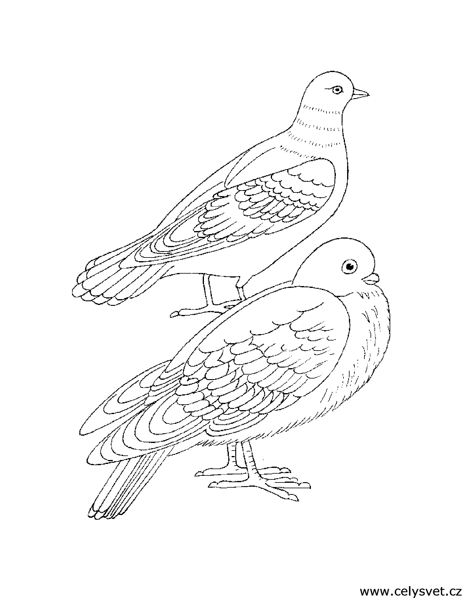 Free coloring page to print