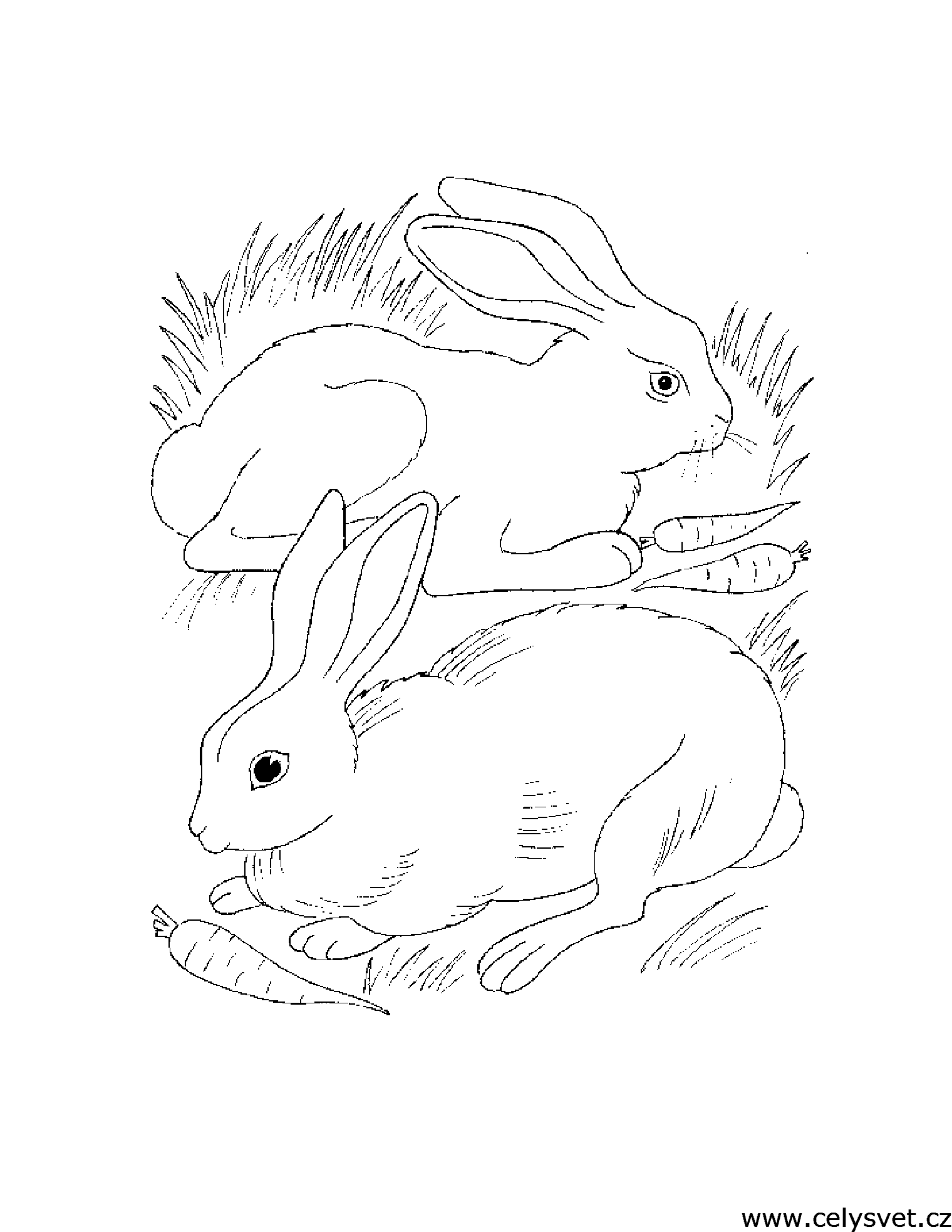 Free coloring page to print