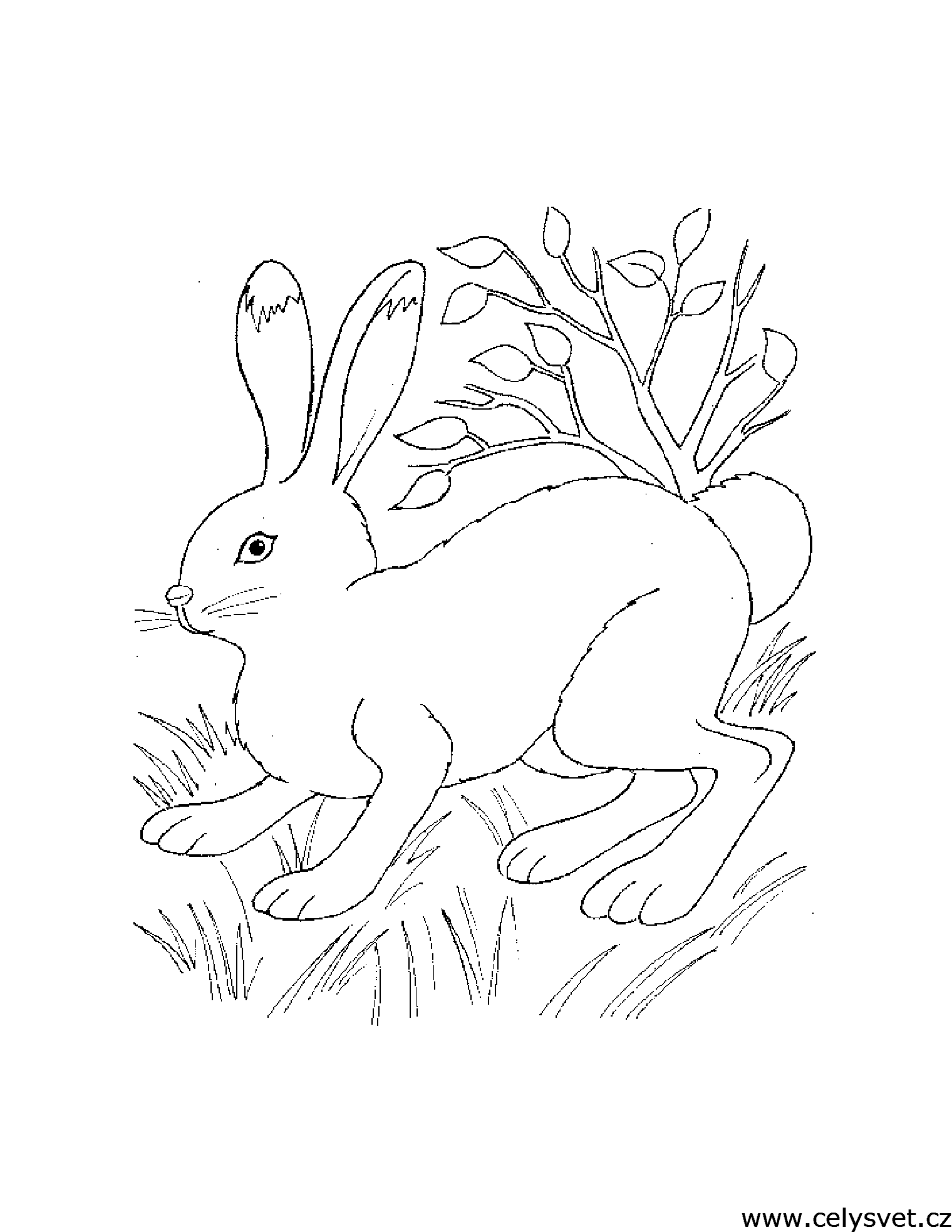 Free coloring page to print