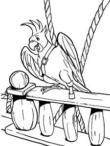 Free Coloring pages