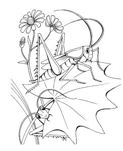 Free Coloring pages