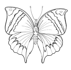 Free Coloring pages