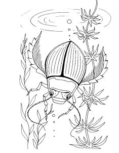 Free Coloring pages