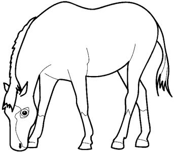 Free Coloring Pages on All Free Coloring Pages  833    Animals  Horses  Zebras  10 Pages