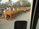 Photos: Pakistan (pictures, images)